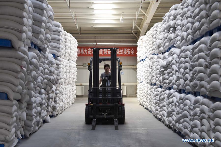 Xinhua Headlines: Xinjiang's hearts, minds open up to Silk Road