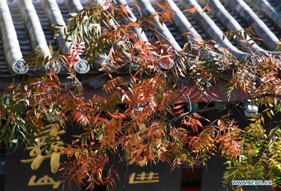 CHINA-YUNNAN-CHUXIONG-YI ETHNIC GROUP-ANCIENT TOWN (CN)