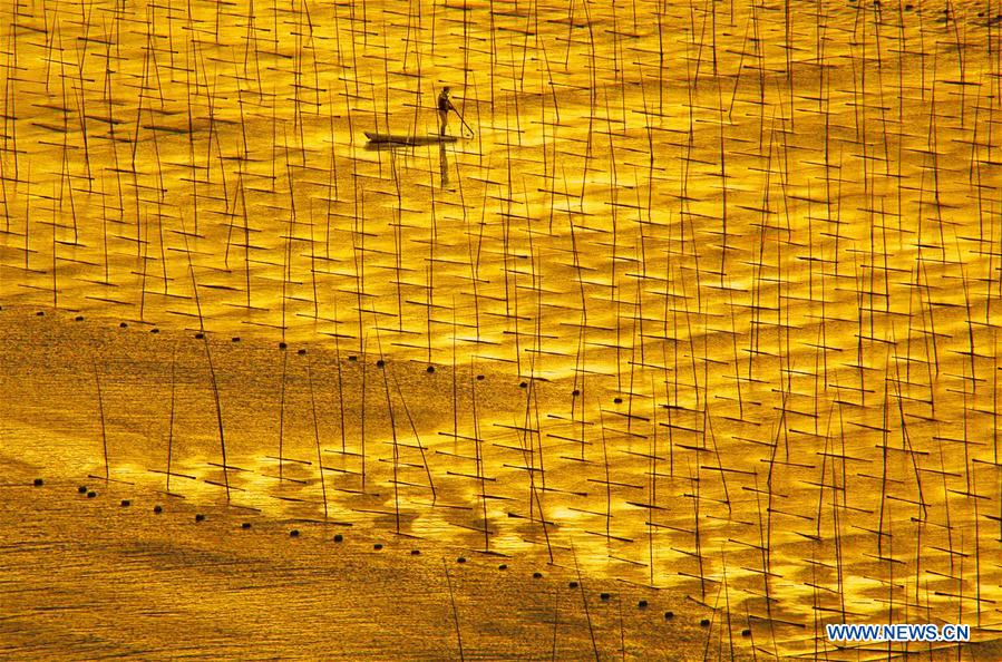 (年終報道)(12)2018年看大美中國