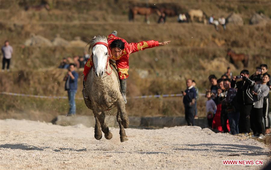 #CHINA-SPRING FESTIVAL-CELEBRATION-HORSE (CN)