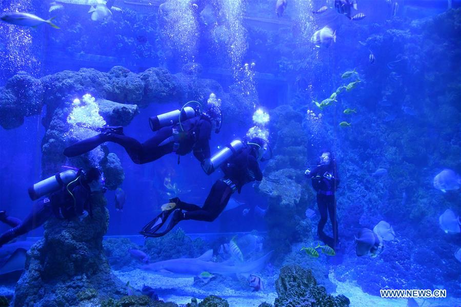 CHINA-QINGDAO-AUTISM-DFH-DIVING TREATMENT (CN)