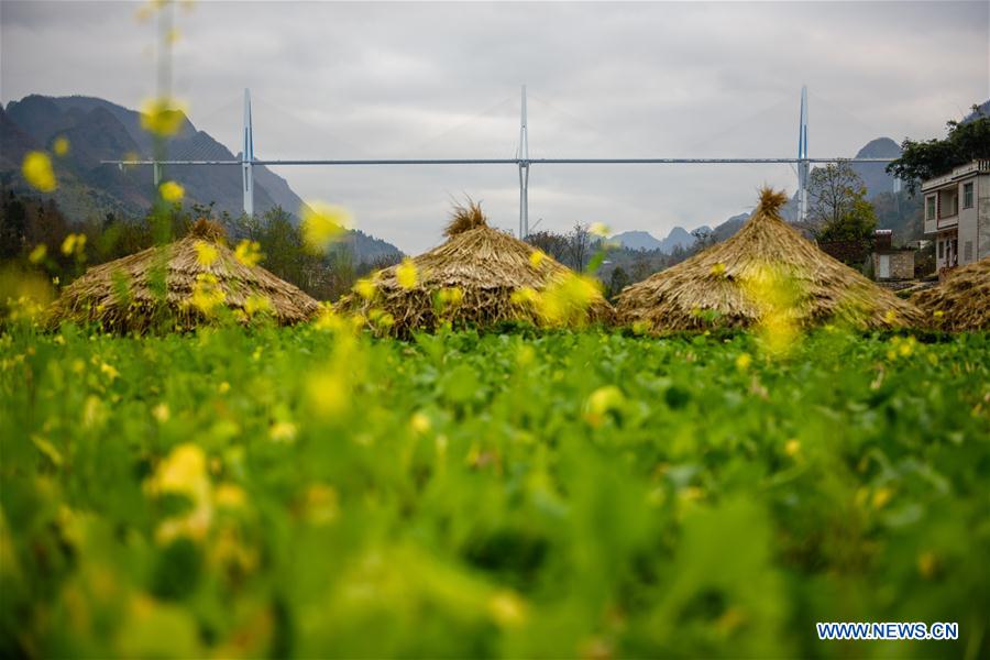 CHINA-GUIZHOU-PINGTANG-BRIDGE (CN)