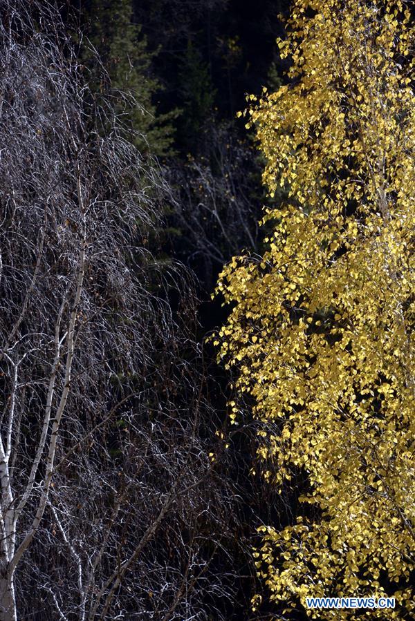 CHINA-XINJIANG-KEKETUOHAI-GEOPARK (CN)