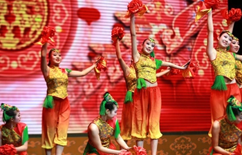 Art festival held to greet upcoming New Year in N China
