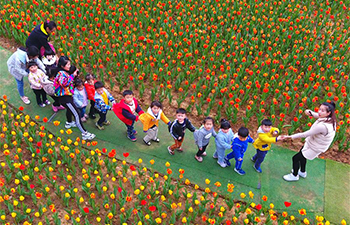 Spring scenery across China
