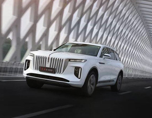 各美其美，美美與共——2020中國企業(yè)家博鰲論壇品牌品鑒交流會側記