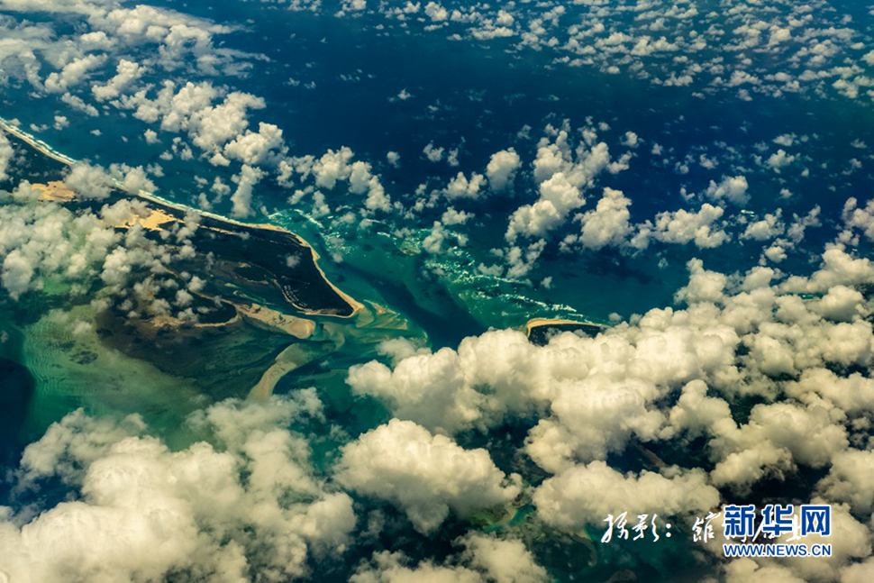 飛躍太平洋，跨越秋與春
