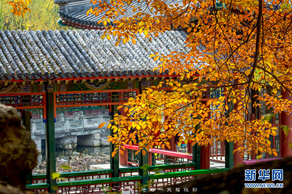 《頤和園不一樣的“秋”》
