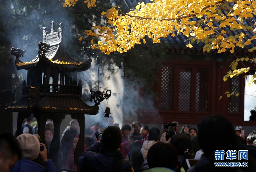 《周末賞秋——京北紅螺寺》