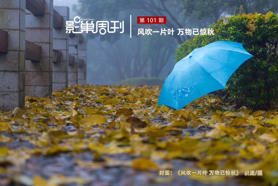 風(fēng)吹一片葉 萬(wàn)物已驚秋