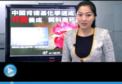 權(quán)威聲音：“快時(shí)代”究竟還有什么可以速成？