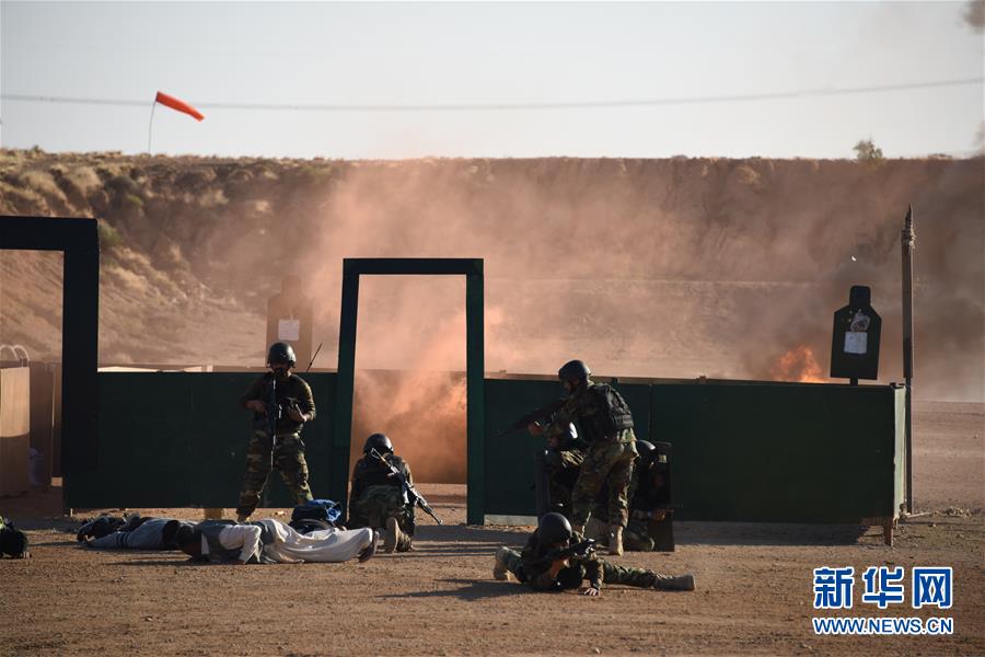 (國際·圖文互動)(3)“海洋衛(wèi)士-2020”中巴海上聯(lián)合演習(xí)閉幕