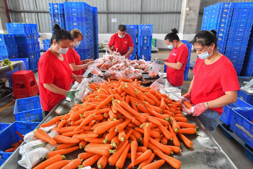 保障&ldquo;菜籃子&rdquo;貨足價穩