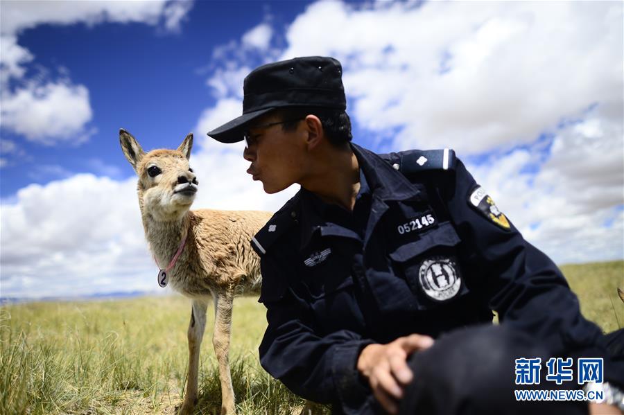 (十九大·讀報告 話民生)(8)加快生態文明體制改革,建設美麗中國