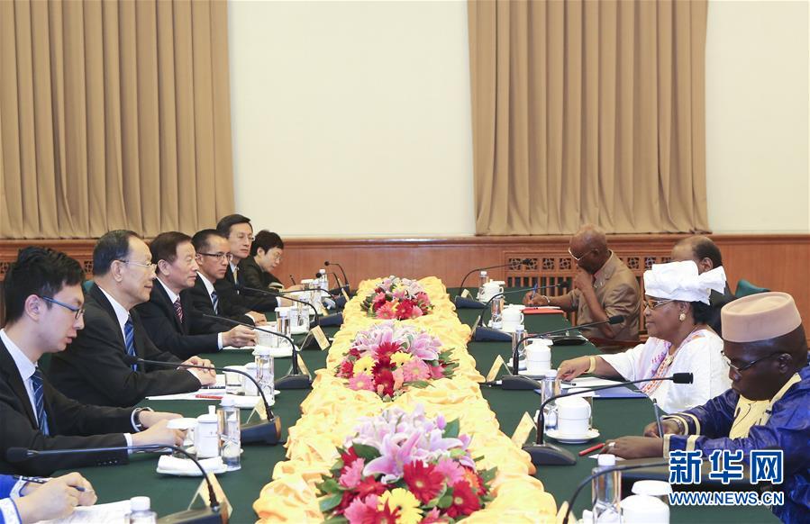 (XHDW)杜青林與幾內(nèi)亞經(jīng)濟(jì)社會(huì)理事會(huì)主席迪亞洛會(huì)談