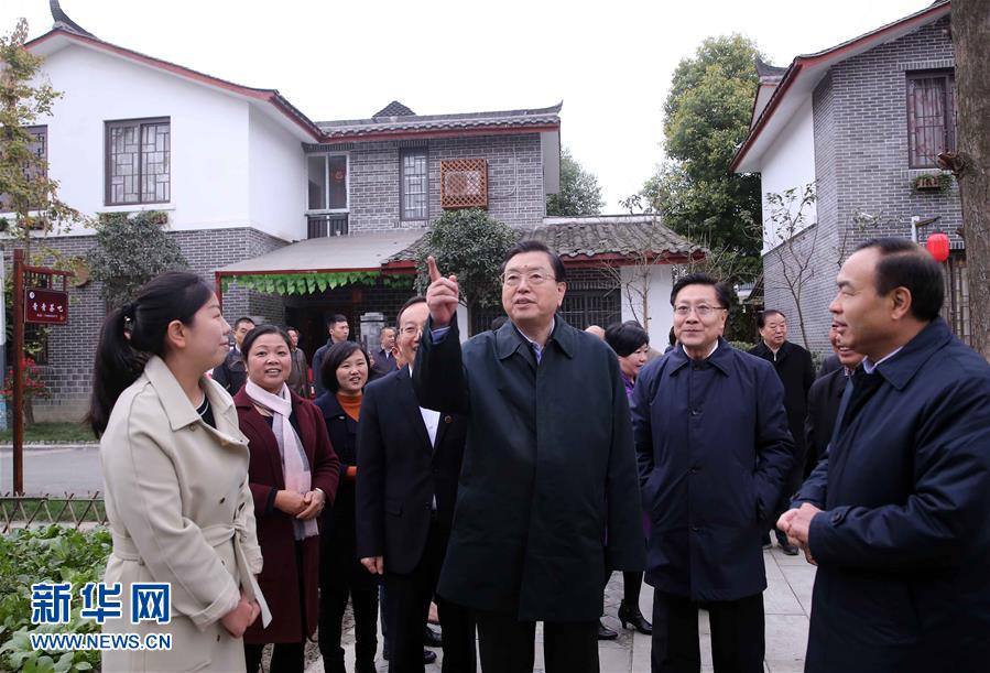這是11月22日，張德江來到成都郫縣青杠樹村，了解村民委員會(huì)工作情況。 新華社記者 劉衛(wèi)兵 攝 
