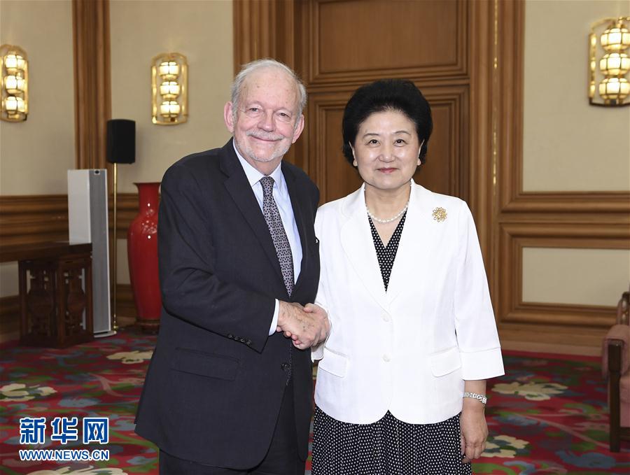 （XHDW）劉延東會見聯合國兒童基金會執行主任安東尼·萊克