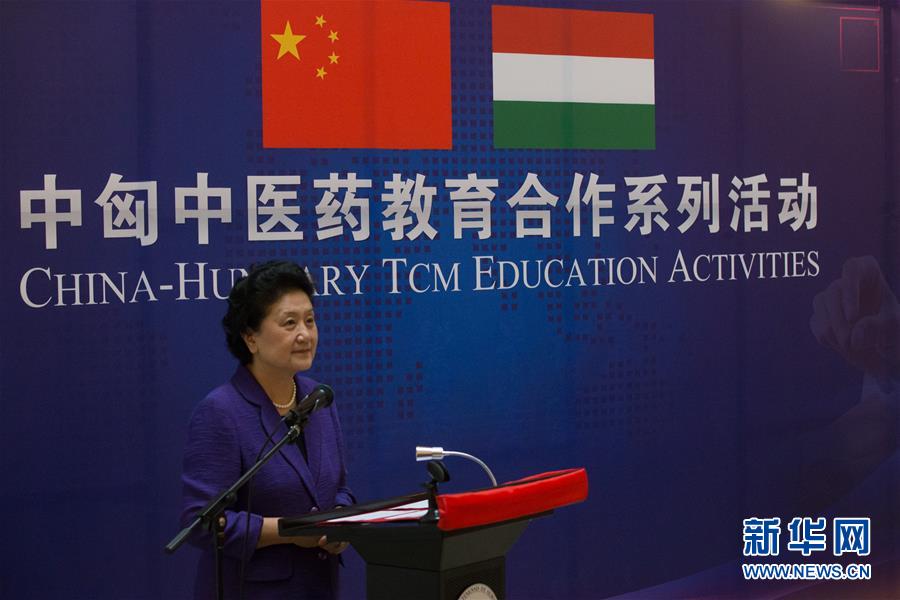 6月18日，在匈牙利布達佩斯，中國國務院副總理劉延東出席中匈中醫藥教育合作系列活動時講話。中國國務院副總理劉延東18日在布達佩斯考察匈牙利塞梅爾維斯醫科大學并出席中匈中醫藥教育合作系列活動。 新華社發（弗爾季·奧蒂洛攝）