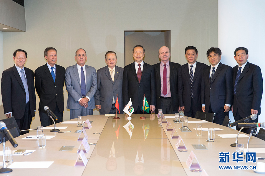 7月11日，在巴西首都巴西利亞，中共中央書記處書記、全國政協(xié)副主席杜青林（中）會見巴西民主運動黨總書記毛羅·洛佩斯（左四）。新華社記者李明攝