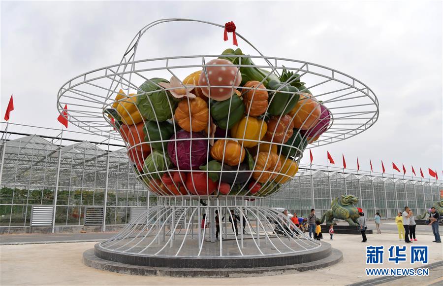 (新時代新氣象新作為·圖文互動)(4)向著小康沖刺——江西脫貧攻堅“百日行動”掃描