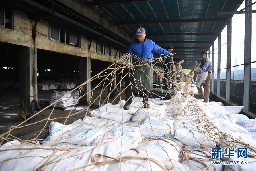 （新春走基層）（4）安徽：農資“春運”助春耕