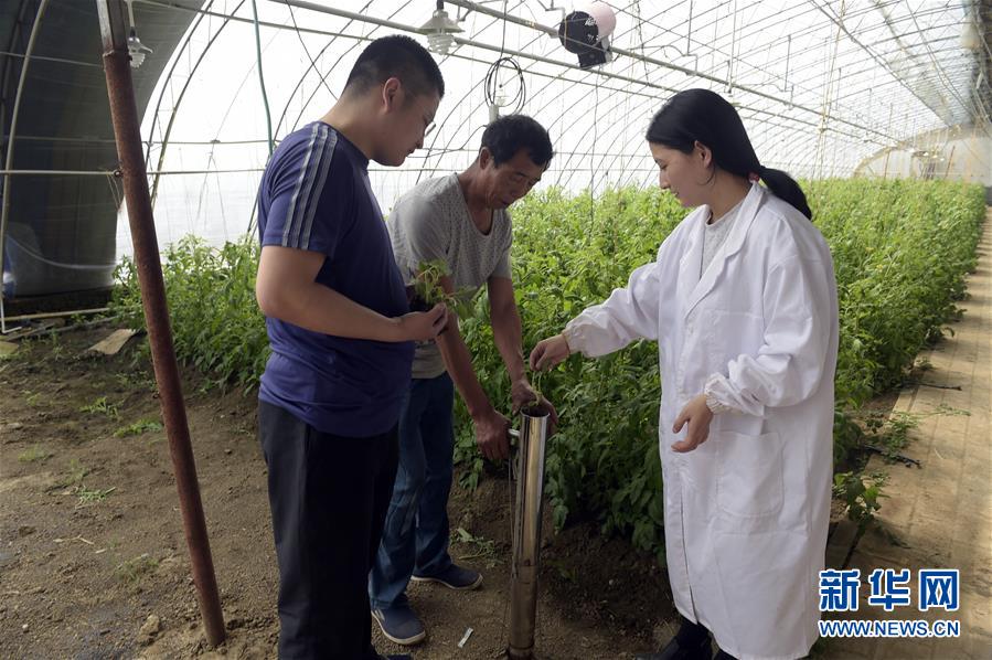 （經濟）（1）推廣農業科技助推鄉村振興