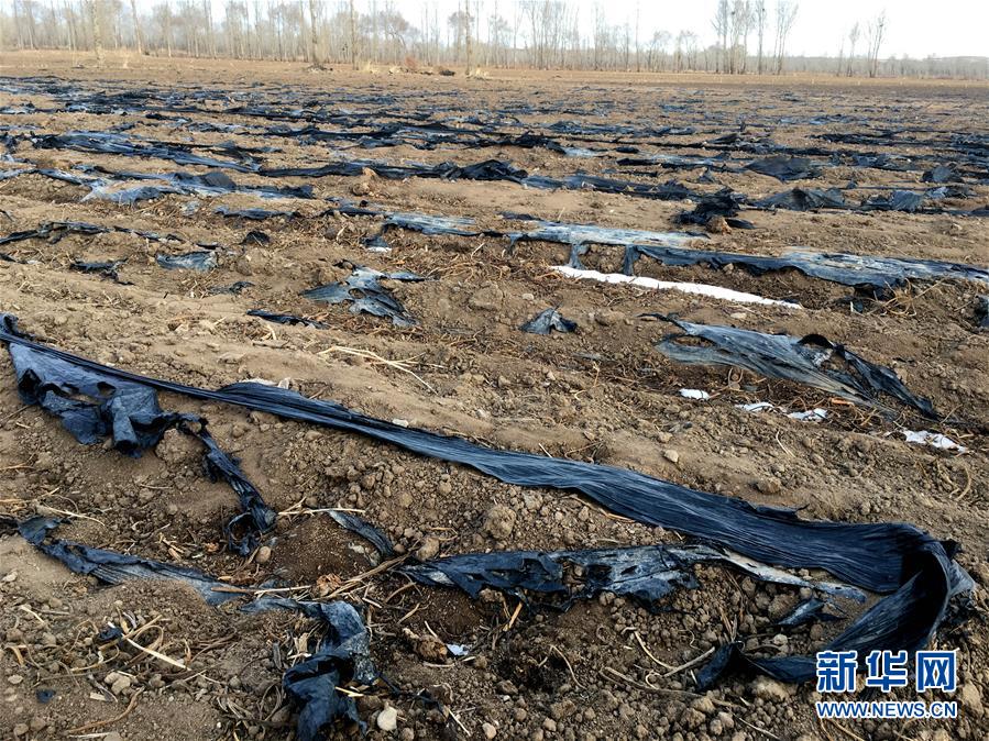 （圖文互動）（2）“垃圾成了村里最頭疼的事”——內蒙古寧城縣“垃圾圍村”成鄉村振興之困