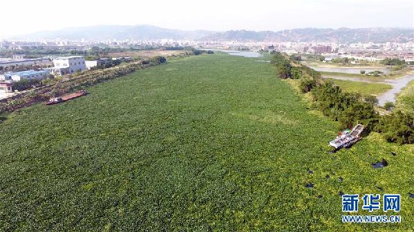 （圖文互動(dòng)）（1）“白練”變“黑龍”，江河變“草原”－－粵東母親河為何污染20多年難治理？