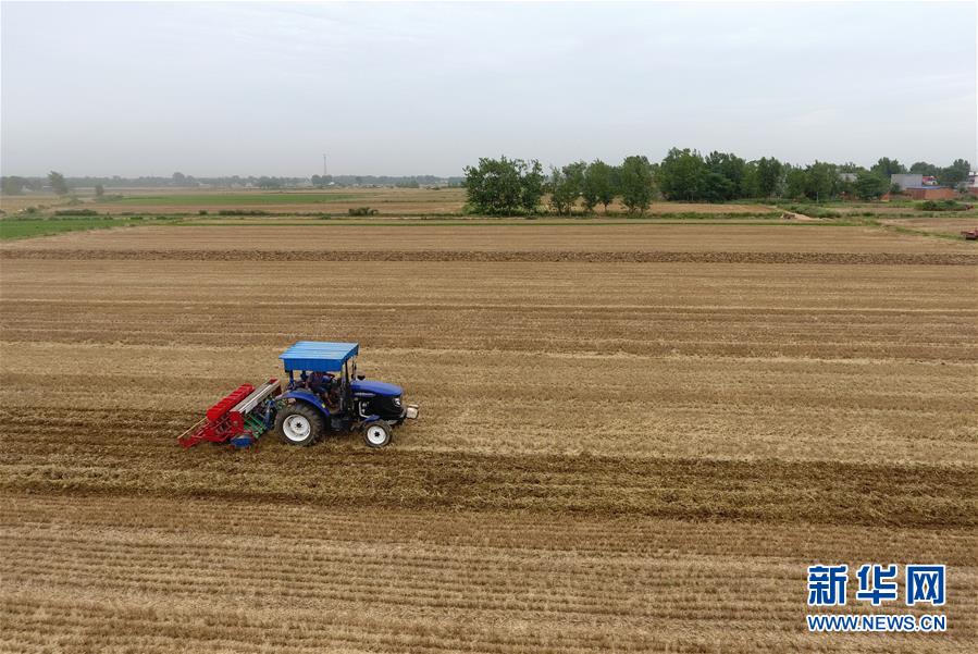 （經(jīng)濟(jì)）（2）搶抓農(nóng)時夏種忙