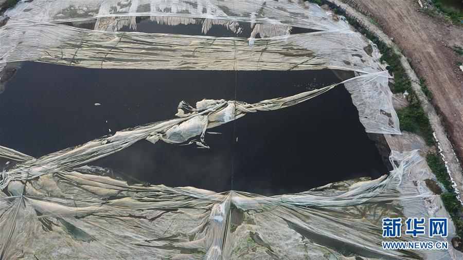 （新華網）（2）江蘇泰興公布長江邊污泥傾倒問題整改方案 將對涉事人員依紀問責