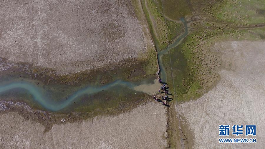 (環境)(6)白皮書:青藏高原地區仍然是地球上最潔凈的地區之一