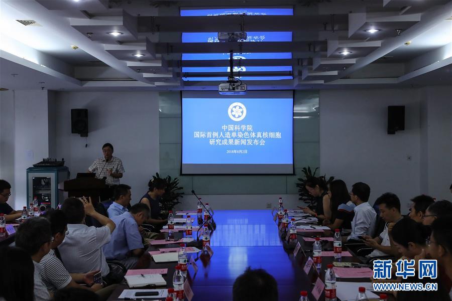 (新華全媒頭條·圖文互動)(6)人造單條染色體真核細胞問世 我國開啟合成生物學研究新時代