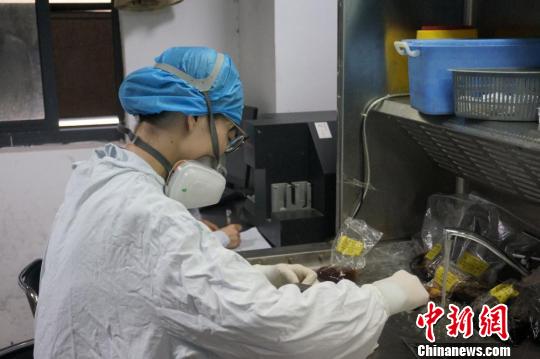 走進(jìn)病理科醫(yī)生:爭(zhēng)分奪秒“戰(zhàn)斗”的醫(yī)院“法官”