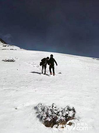 下雪天巡護也是常有的事。