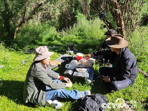 長途跋涉途中休息。