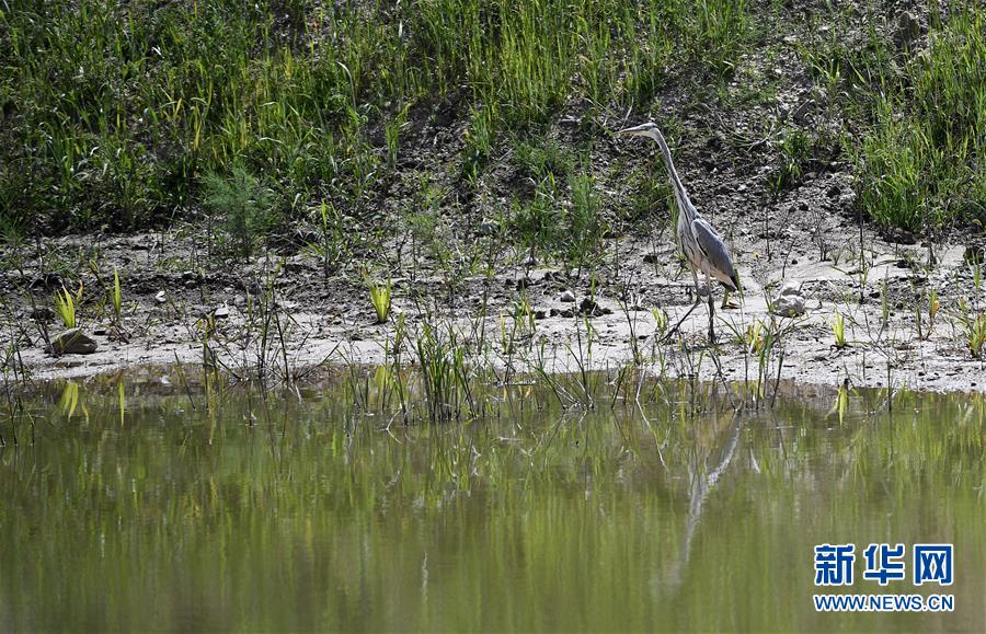 (新華全媒頭條·圖文互動)(10)中國扶貧的西海固答卷——寧夏奮進60年巡禮之脫貧攻堅篇