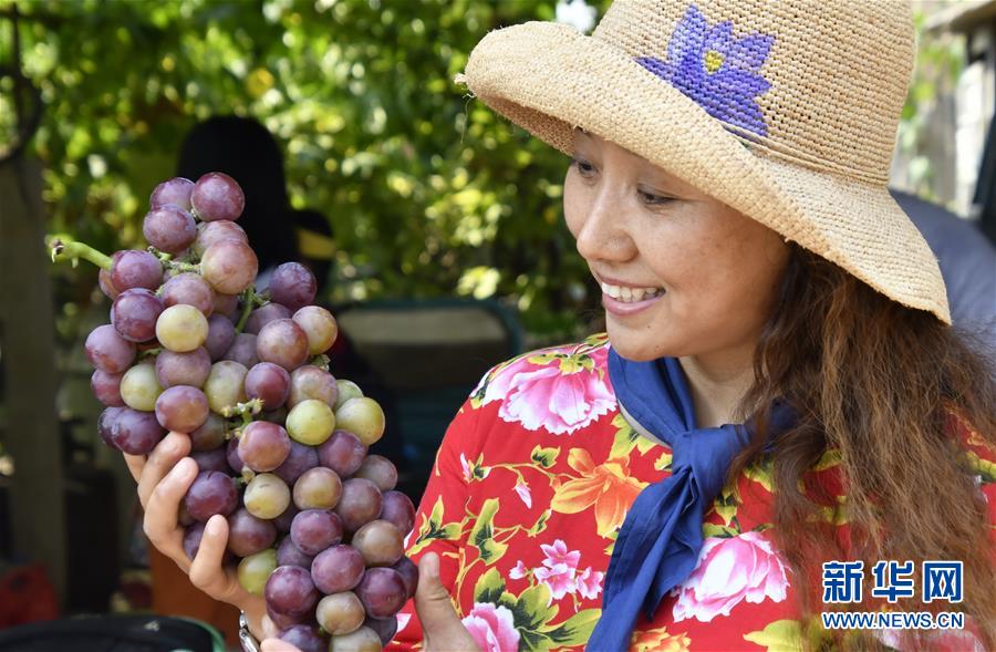 （新華全媒頭條·圖文互動）（8）最年輕的節日 最悠久的牽念——寫給首個中國農民豐收節