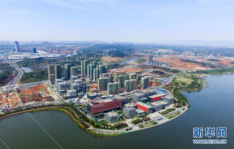 (新華全媒頭條·圖文互動)(12)從一個到一群 量變引發(fā)質變——上海自貿區(qū)五周年回眸