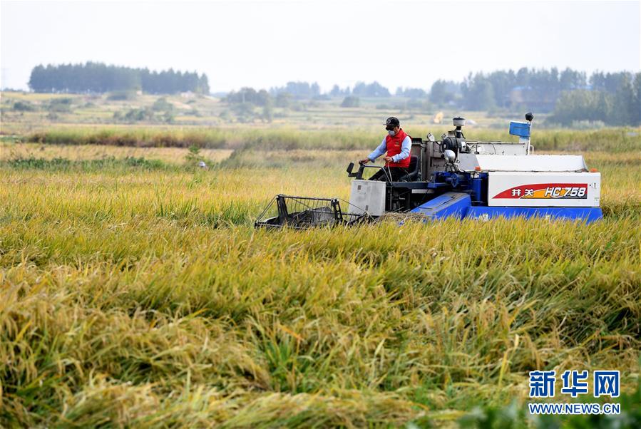 （新華全媒頭條·壯闊東方潮　奮進(jìn)新時代——慶祝改革開放40年·圖文互動）（9）小崗，與時代同行——“中國農(nóng)村改革第一村”40年變遷的改革啟示