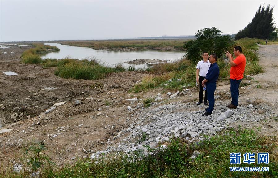 (新華視點·圖文互動)(6)福建10名黨員干部被問責的背后:7部門十余次執法未能有效制止泉州灣濕地圍墾行為