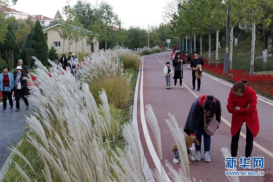 (新華全媒頭條·圖文互動)(5)復蘇的河流——北京涼水河再調查