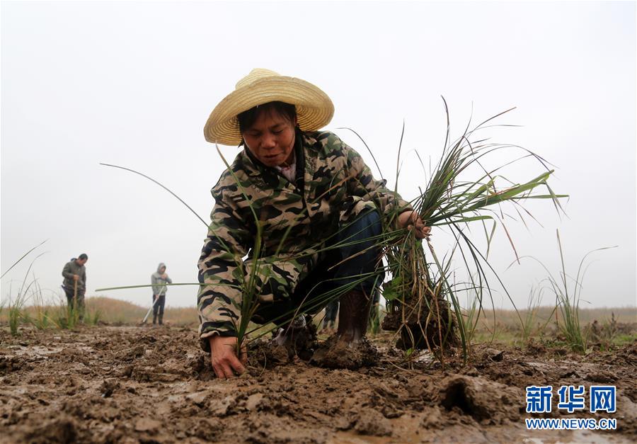 （新華視點·回望2018·圖文互動）（3）2018年新華社曝光多起破壞生態事件，記者年底追訪發現……