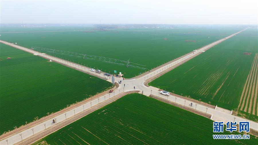 （來自一線的調查報告·圖文互動）（1）從“填飽肚子”到“過好日子”——改革開放40年河南農業三重“蝶變記”