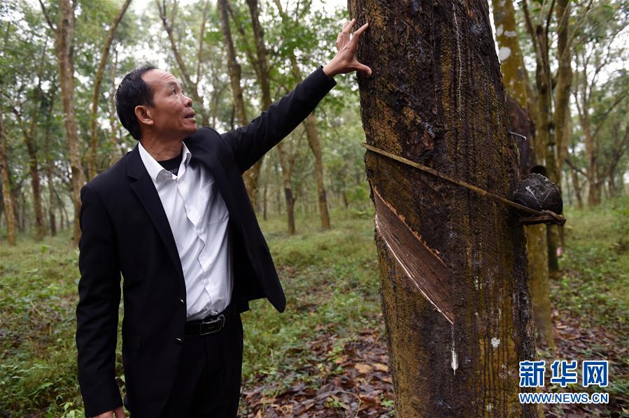 （兩會·基層委員履職故事）（6）全國政協委員羊風極：讓家鄉在鄉村振興中發展得更好