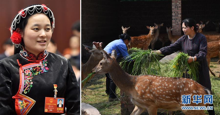 （兩會·影像鏈接）全國人大代表雷金玉：努力吸引人才 推動鄉村振興