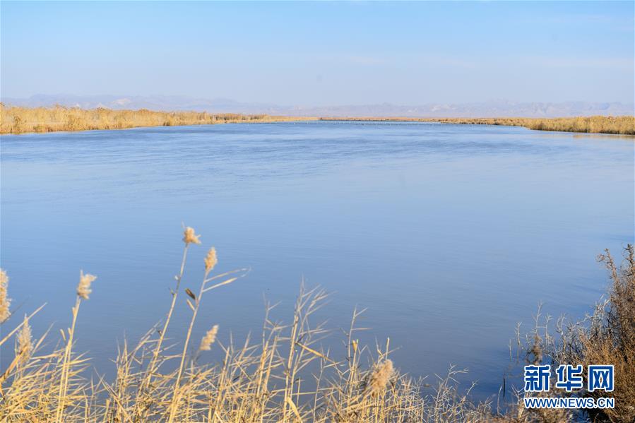 (在習近平新時代中國特色社會主義思想指引下——新時代新作為新篇章·圖文互動)(1)打響綠色品牌 “四控”治污增效——內蒙古巴彥淖爾探索農業高質量發展