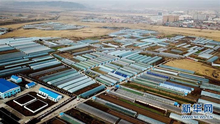 （在習近平新時代中國特色社會主義思想指引下——新時代新作為新篇章·鄉村振興戰略·圖文互動）（5）“十五連豐”譜新篇——端牢“中國飯碗”的龍江實踐