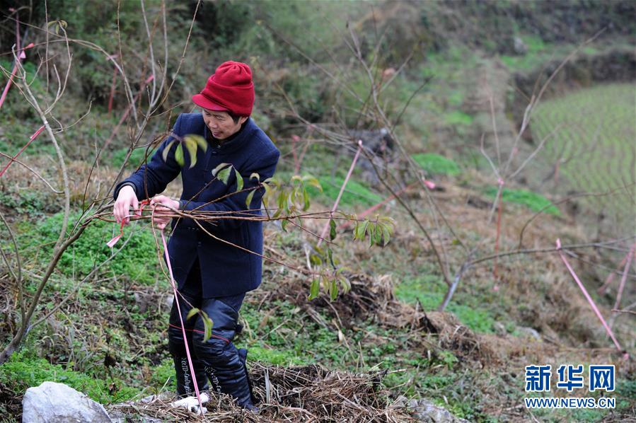 (圖文互動(dòng))(3)平靜而充滿力量——“中國網(wǎng)事·感動(dòng)2018”年度網(wǎng)絡(luò)人物群像
