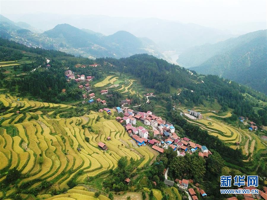 (兩會(huì)前夕看落實(shí)·圖文互動(dòng))(6)決戰(zhàn)脫貧攻堅(jiān) 奮力后發(fā)趕超——貴州落實(shí)習(xí)近平總書記全國(guó)兩會(huì)重要講話精神紀(jì)實(shí)