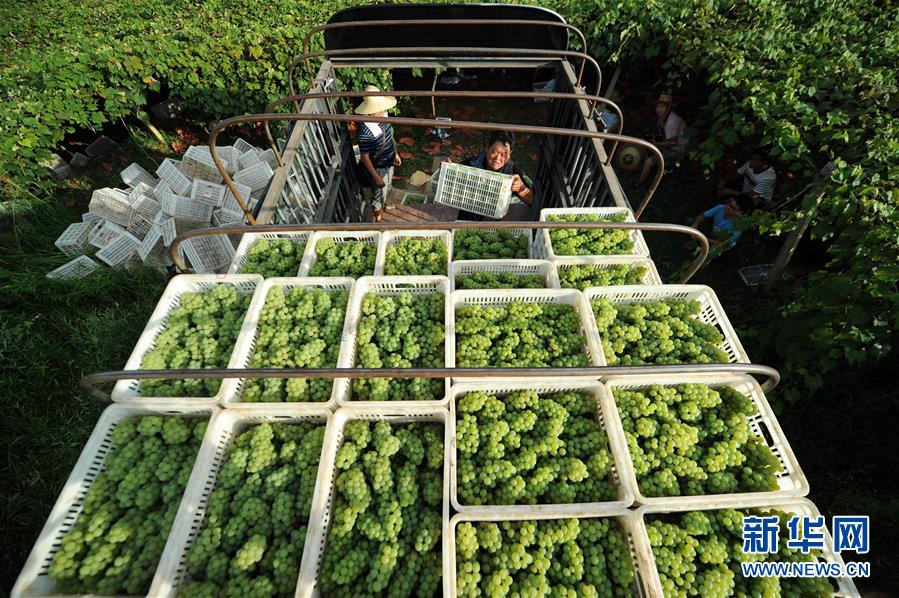 (兩會(huì)前夕看落實(shí)·圖文互動(dòng))(7)決戰(zhàn)脫貧攻堅(jiān) 奮力后發(fā)趕超——貴州落實(shí)習(xí)近平總書記全國(guó)兩會(huì)重要講話精神紀(jì)實(shí)